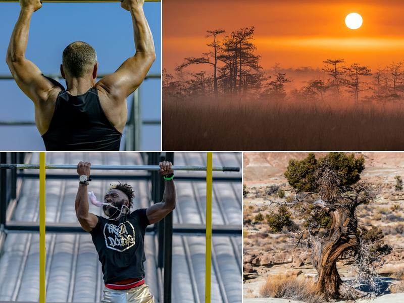 WJ Howard Photography