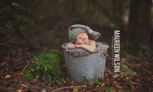 Maureen Wilson Photography 2158 Brumfield Rd SW, Summit Mississippi 39666