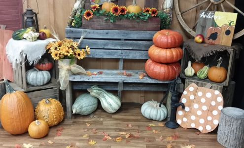 Soft Innocence Photography