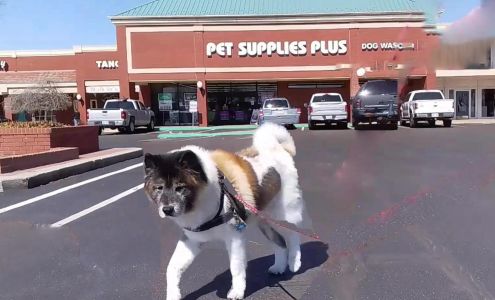 Pet Supplies Plus Edmond (Kickingbird