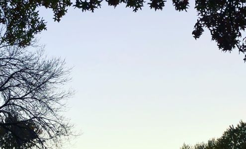 Shelley Jensen Photography