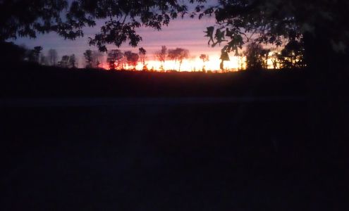 Madison Moore Photography