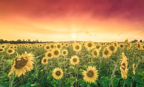 Christopher A Mills Photography 56 South St, Houlton Maine 04730