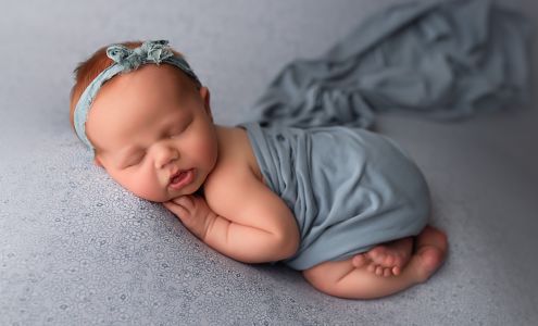 Little Bee Photography