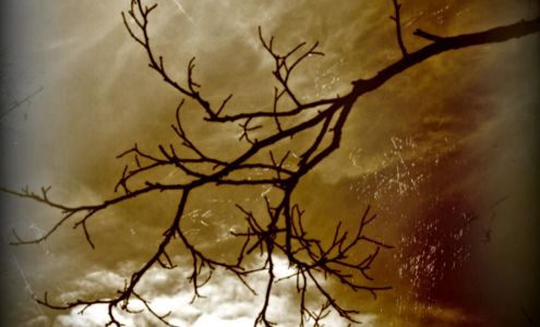 Captured In Time Photography, LLC 935 E Rumney Rd, Rumney New Hampshire 03266