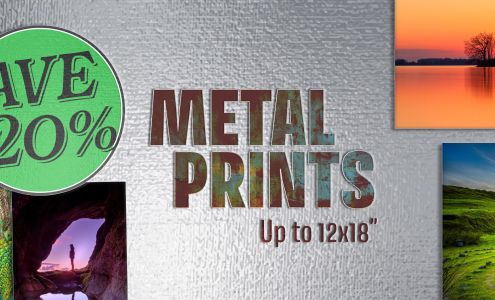 Menlo Family Photography