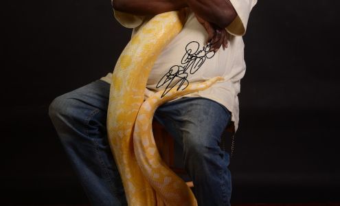 Johnson Family Photography