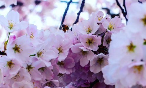 Moment's in Time Photography