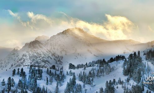 Jon Williams Professional Photography Services