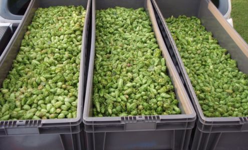 Kim Bunker Photography - Newton, IA 2478 IA-14, Newton Iowa 50208