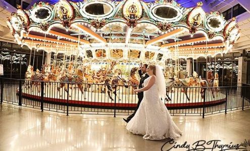 Cindy B. Thymius Photography