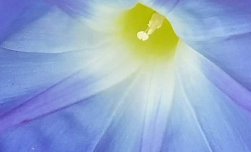 In A Snap Photography 2015