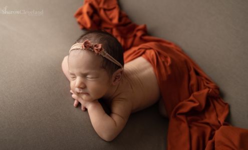 Sharon Cleveland Photography