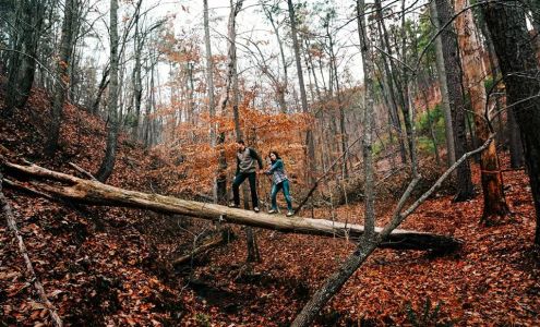 Rebecca Marie Photography