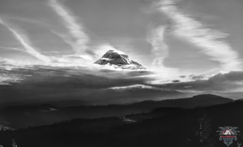 Mad Plaid Photography