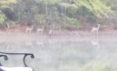 Classical Photography