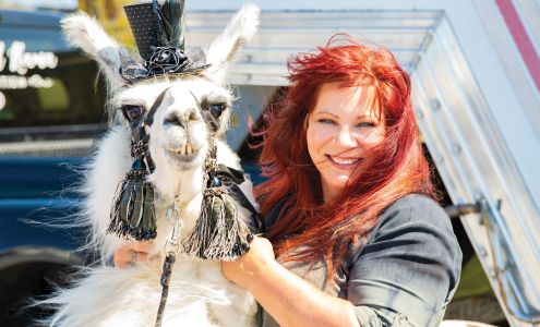 Dailey Life Photography