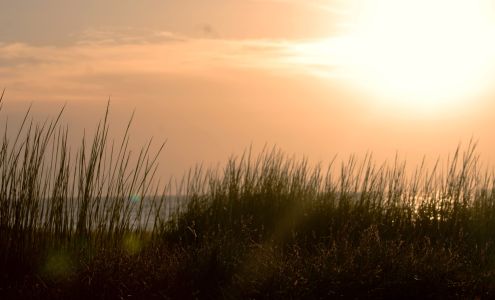 Morgan Maher Photography