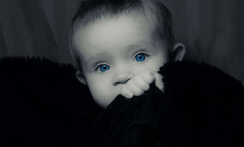 Goodfella Photography & Art Studio