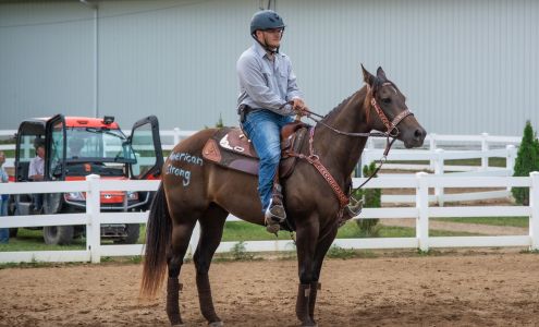 Silver Fox Photography