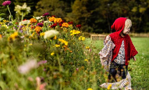 The Journey is the Life Photography