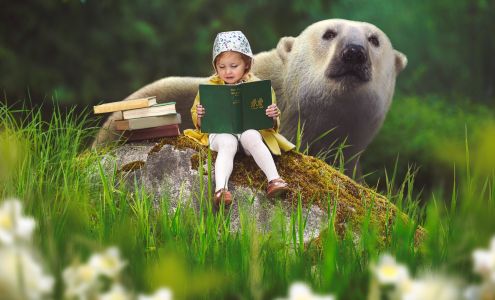 Belly of the Whale Photography