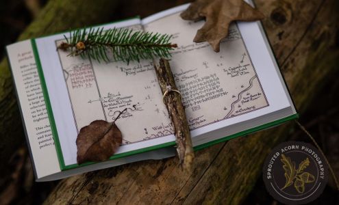 Sprouted Acorn Photography