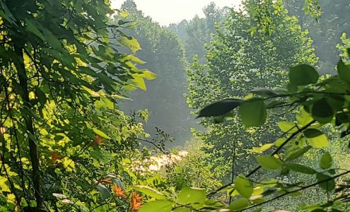 All Occasion Photography 8266 Co Hwy 192, Holmesville Ohio 44633