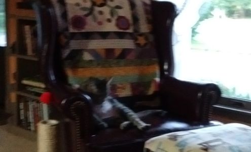 Photography by Sue Brown