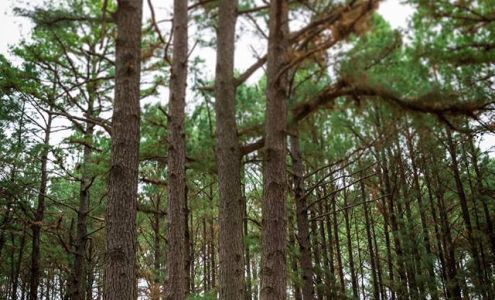 Emily Wilson Photography