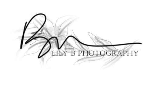 Lily B Photography 831 Fourth Ave NW, Melrose Minnesota 56352