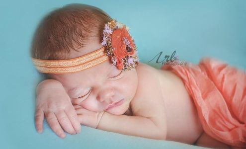 Ms. Nikki’s Photography