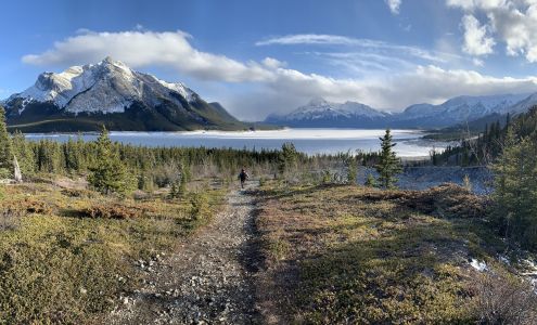 Winter Forrest Photography