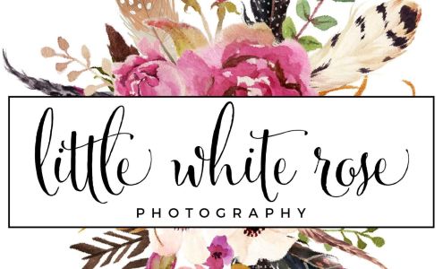 Little White Rose Photography