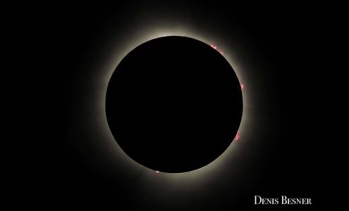 Brindamour Paul Photographe