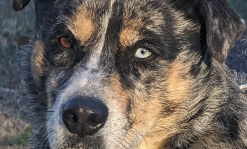 Stacy Jones Photography