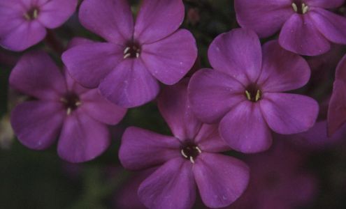 Broken Arrow Photography