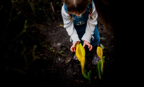 From the Treehouse Photography 110 1st Ave W Suite 150, Prince Rupert British Columbia V8J 1A8