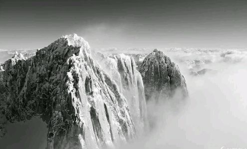 Wild Air Photography