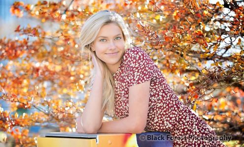 Black Forest Photography