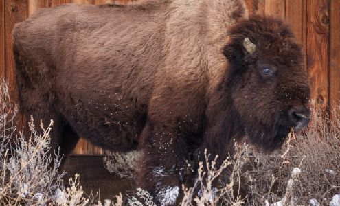 Wade Fellin Photography