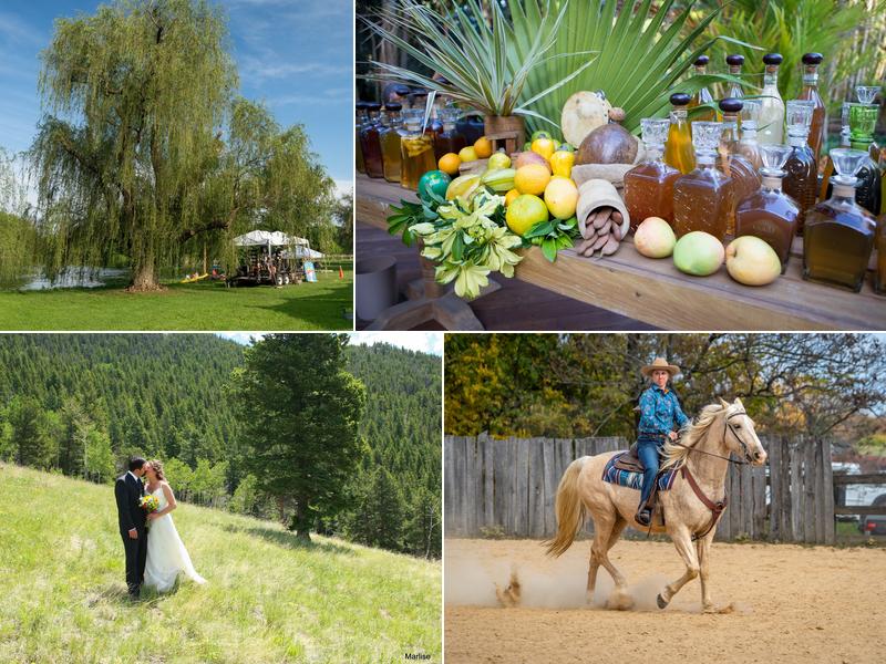 Cameo Fine Art & Photography