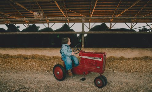 Memory Lane Photography