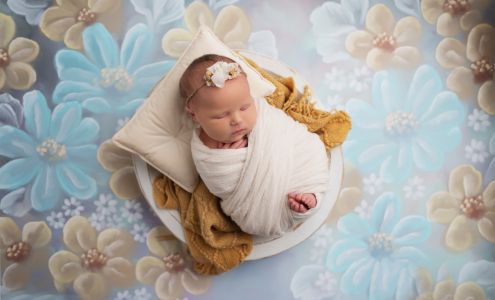 Lela May Photography 206 12th St, Lexington Missouri 64067