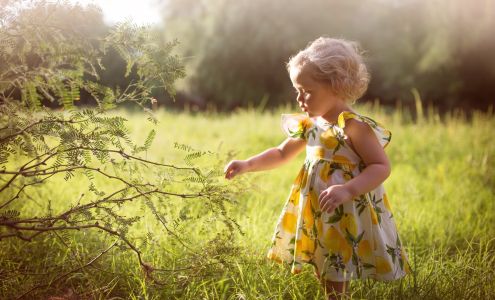 Dream Photography Studio