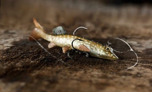 jim york photography