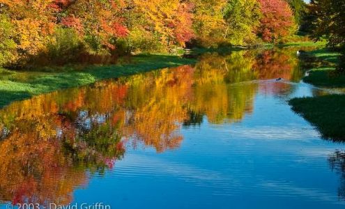 David Griffin Photography