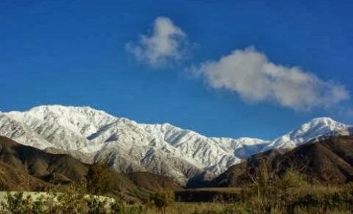 David Thomas Photography