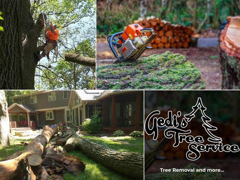 Gedi's Tree Service
