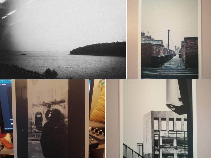 Dan King Photography